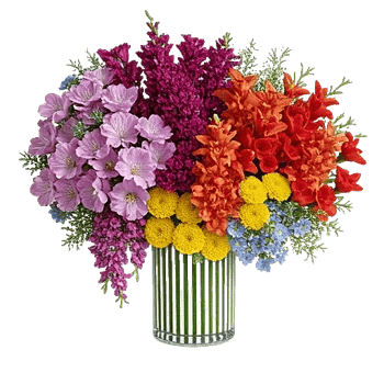 Petal Radiance Bliss