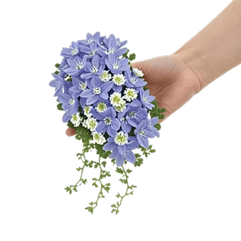 Delicate Petal Cascade