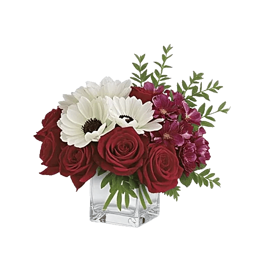 Crimson Rose Elegance