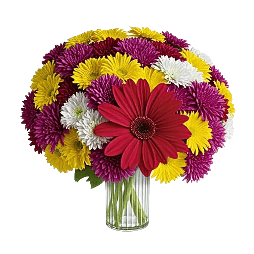 Petal Radiance Bliss