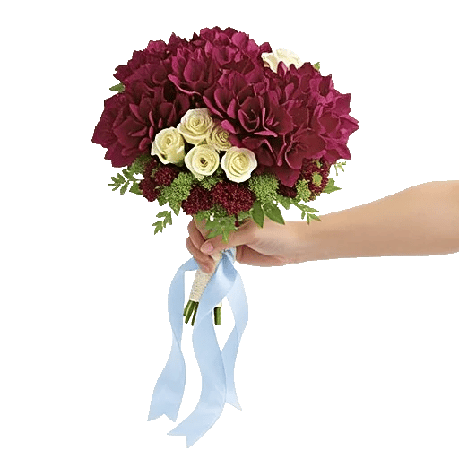 Serene Petal Harmony