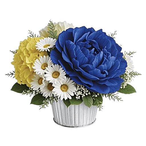 Petal Radiance Bliss