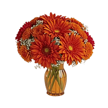 Radiant Bloom Cascade