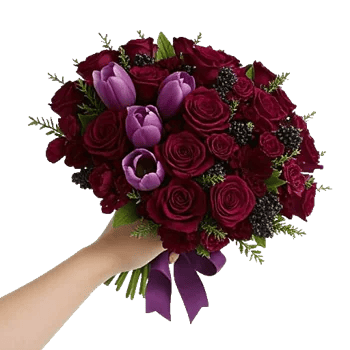 Velvet Tulip Display