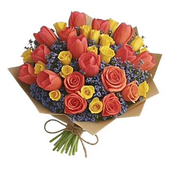Coral Blossom Harmony