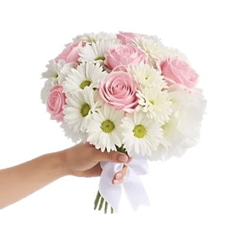 Pastel Pink Roses