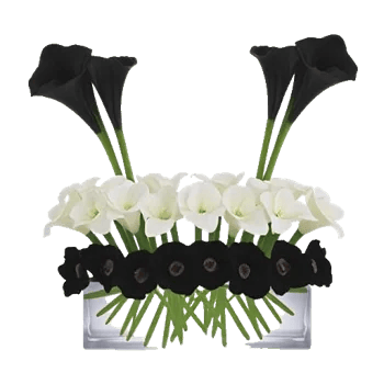 Elegant Calla Lilies