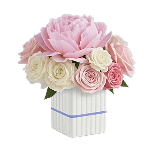 Petal Radiance Bliss