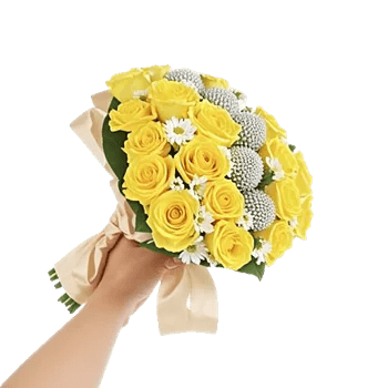 Blossom Harmony Display