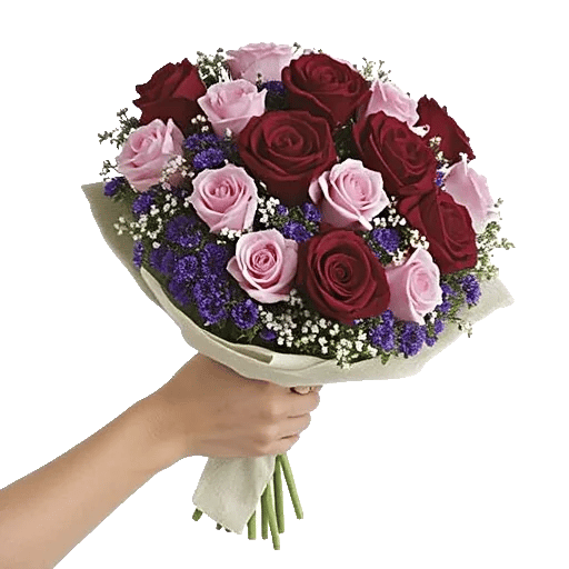 Crimson Rose Elegance
