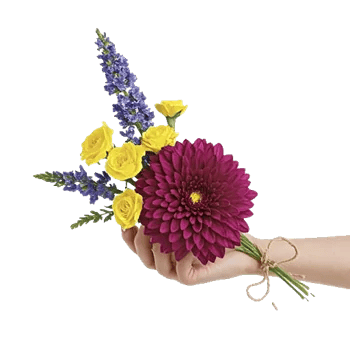 Radiant Bloom Cascade