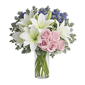 Ivory Blossom Radiance