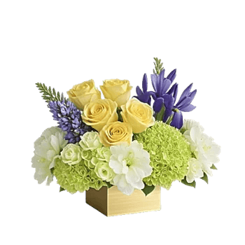 Ivory Blossom Radiance