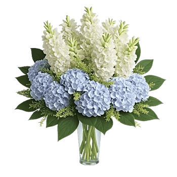 Ivory Blossom Radiance