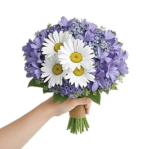 Enchanting Daisy Garden