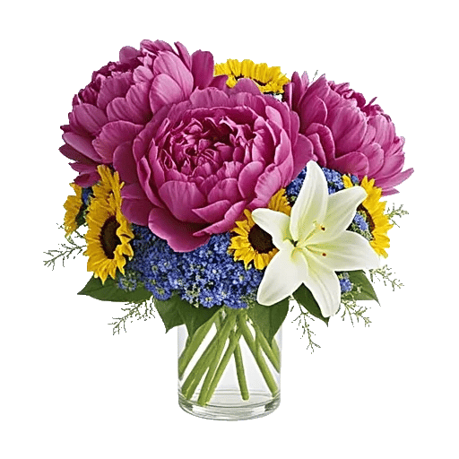 Petal Radiance Bliss