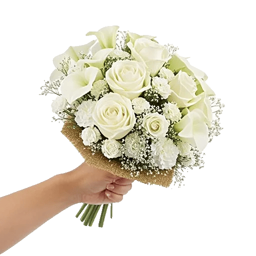 Ivory Garden Grace