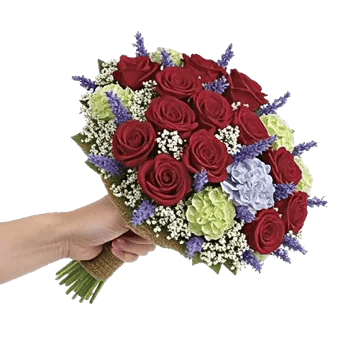 Crimson Rose Elegance