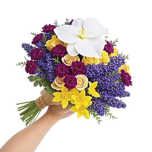 Minimalist White Orchids