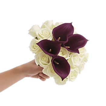 Elegant Calla Lilies