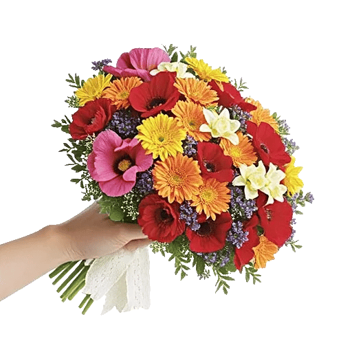 Blossom Harmony Display