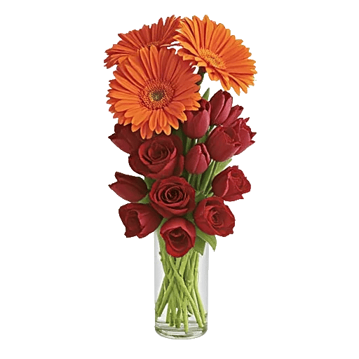 Radiant Petal Display