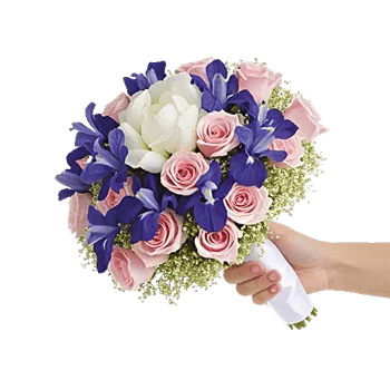 Ivory Blossom Radiance