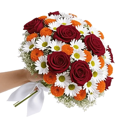 Blushing Rose Symphony