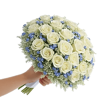 Blossom Petal Serenity