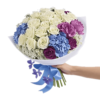 Serene Petal Harmony