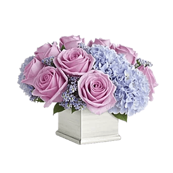 Lavender Bloom Grace