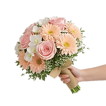 Pastel Pink Roses