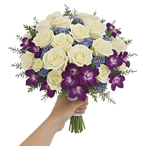 Ivory Garden Grace