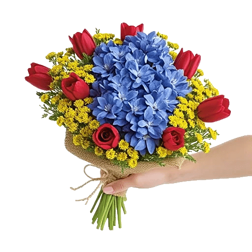 Blossom Petal Serenity