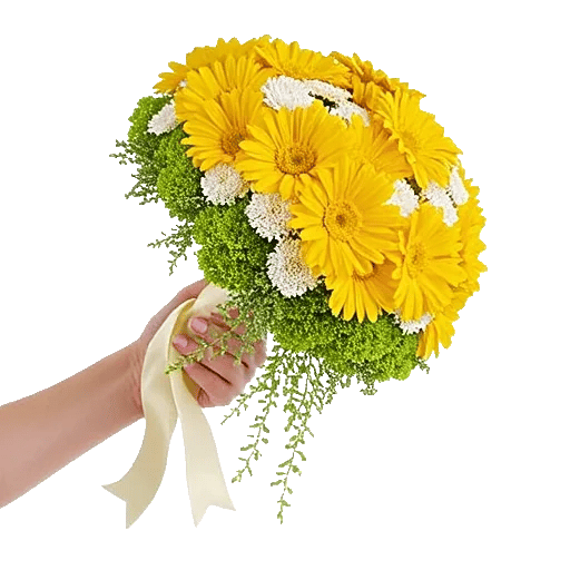 Delicate Petal Cascade