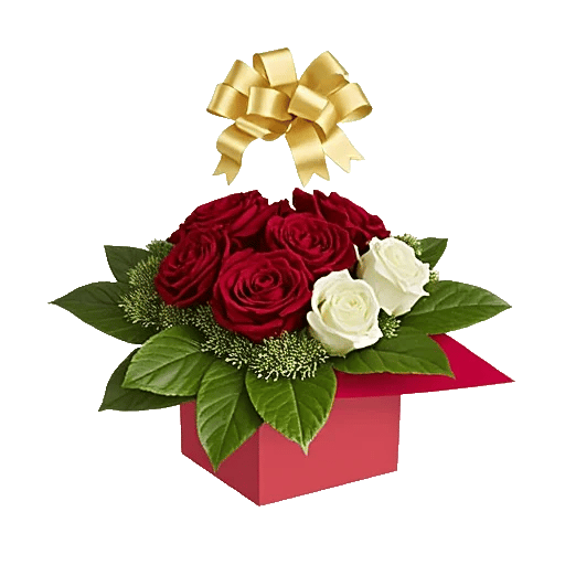 Crimson Rose Elegance