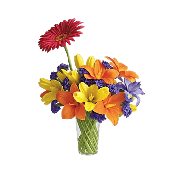 Petal Radiance Bliss