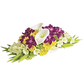Elegant Calla Lilies