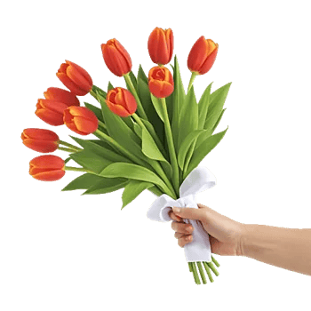 Blossom Glow Symphony