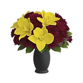 Modern White Orchids