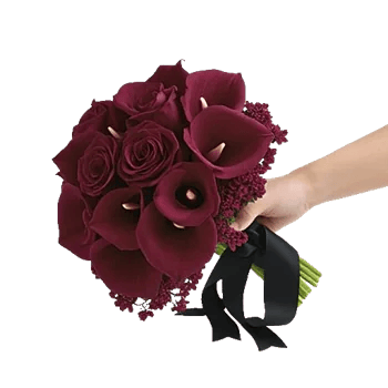Elegant Calla Lilies