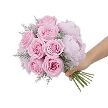 Pastel Pink Roses