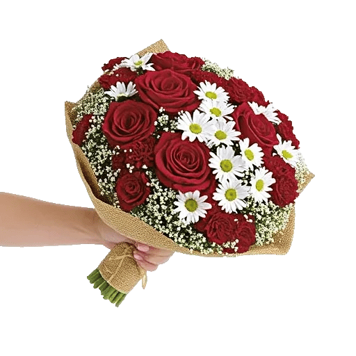 Crimson Rose Elegance