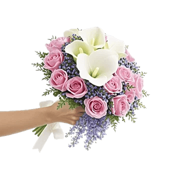 Ivory Garden Grace