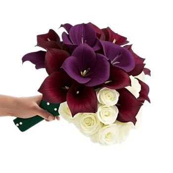 Elegant Calla Lilies