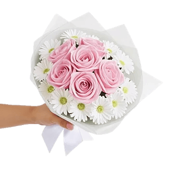 Blushing Rose Symphony