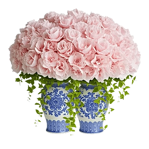 Ivory Blossom Radiance