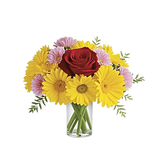 Golden Petal Harmony