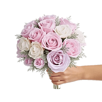 Pastel Pink Roses