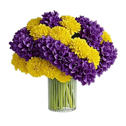 Petal Radiance Bliss